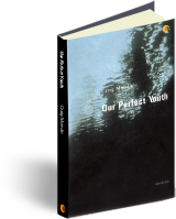 Our Perfect Youth book cover