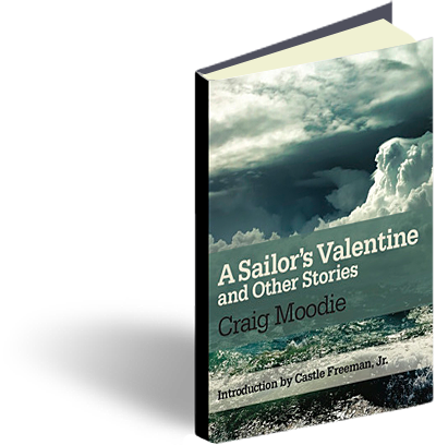 A Sailor's Valentine book cover